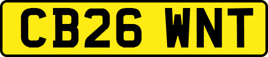 CB26WNT
