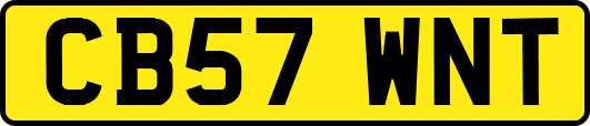 CB57WNT