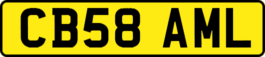 CB58AML