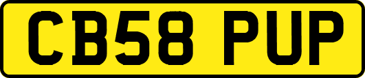 CB58PUP