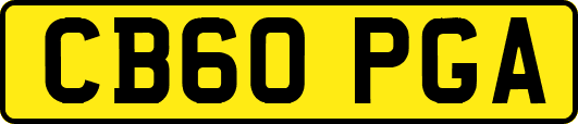CB60PGA
