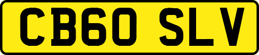 CB60SLV