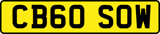 CB60SOW