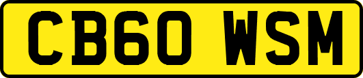 CB60WSM