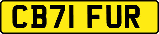 CB71FUR