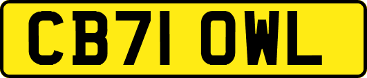 CB71OWL