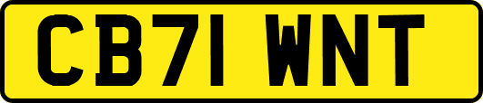 CB71WNT