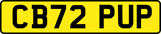 CB72PUP