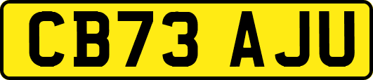 CB73AJU