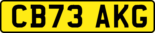 CB73AKG