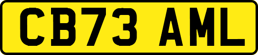 CB73AML