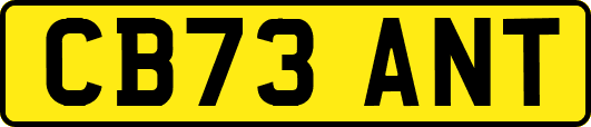 CB73ANT