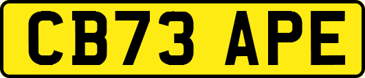 CB73APE