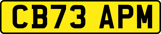 CB73APM
