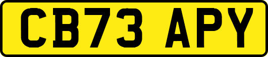 CB73APY