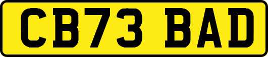 CB73BAD