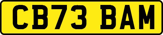 CB73BAM