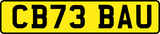 CB73BAU