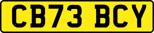 CB73BCY