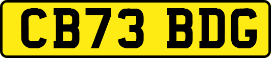 CB73BDG