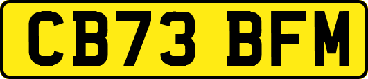 CB73BFM