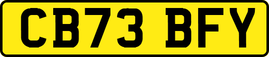 CB73BFY