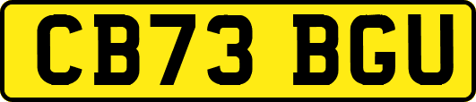 CB73BGU