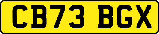 CB73BGX