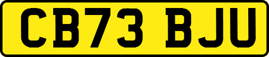 CB73BJU
