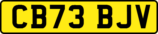 CB73BJV