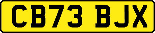CB73BJX