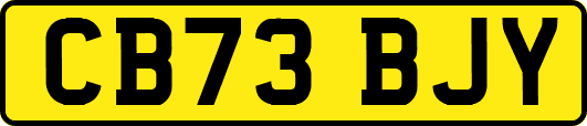 CB73BJY