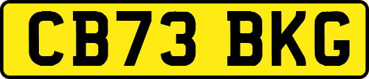 CB73BKG