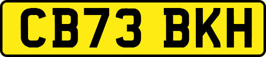 CB73BKH