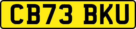 CB73BKU