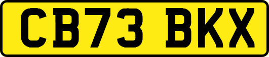 CB73BKX