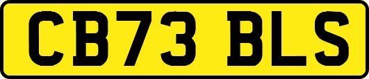 CB73BLS