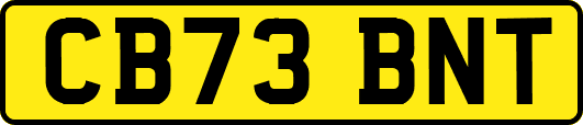 CB73BNT