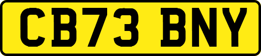 CB73BNY