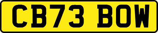 CB73BOW