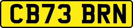 CB73BRN