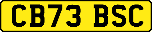 CB73BSC