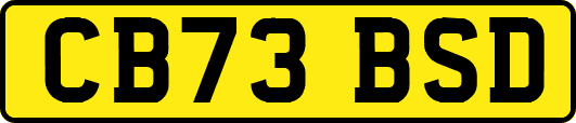 CB73BSD