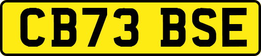 CB73BSE