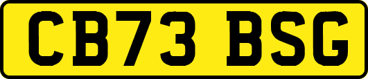 CB73BSG