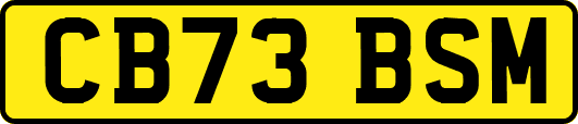 CB73BSM