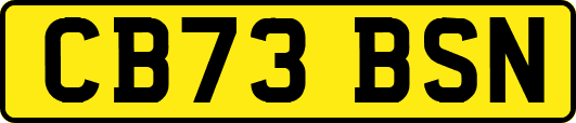 CB73BSN
