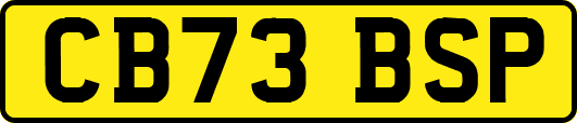 CB73BSP