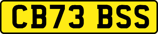 CB73BSS
