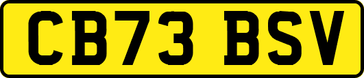 CB73BSV